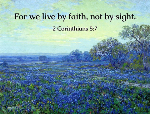 Bible Verse Quote 2 Corinthians 5:7, Robert Julian Onderdonk - Bluebonnets at Sunrise White Modern Wood Framed Art Print with Double Matting by ArtsyQuotes