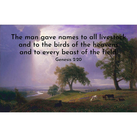 Bible Verse Quote Genesis 2:20, Albert Bierstadt - California Spring White Modern Wood Framed Art Print by ArtsyQuotes