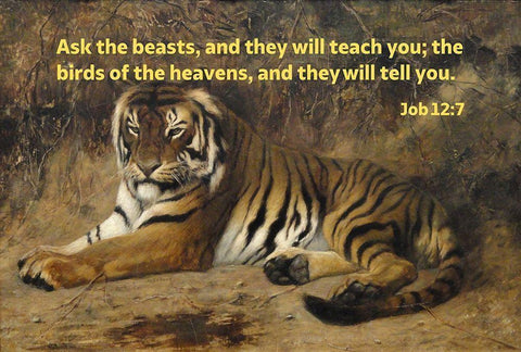 Bible Verse Quote Job 12:7, Jean-Leon Gerome - Tiger II Black Ornate Wood Framed Art Print with Double Matting by ArtsyQuotes