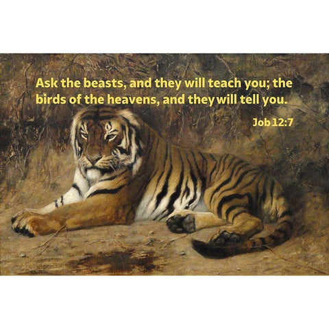 Bible Verse Quote Job 12:7, Jean-Leon Gerome - Tiger II Gold Ornate Wood Framed Art Print with Double Matting by ArtsyQuotes