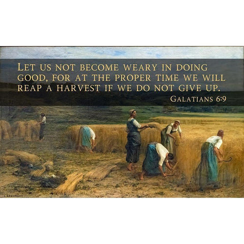 Bible Verse Quote Galatians 6:9, Leon Augustin LHermitte - The Harvest White Modern Wood Framed Art Print by ArtsyQuotes