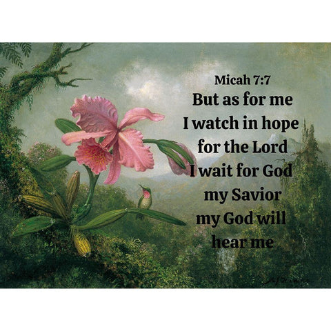 Bible Verse Quote Micah 7:7, Martin Johnson Heade - Orchid and Hummingbird White Modern Wood Framed Art Print by ArtsyQuotes