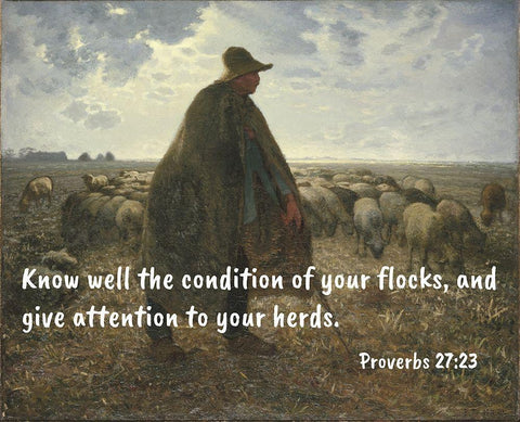 Bible Verse Quote Proverbs 27:23, Jean-Francois Millet - Shepherd Tending his Flock ll Black Ornate Wood Framed Art Print with Double Matting by ArtsyQuotes