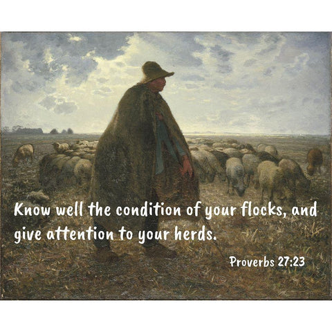 Bible Verse Quote Proverbs 27:23, Jean-Francois Millet - Shepherd Tending his Flock ll Black Modern Wood Framed Art Print with Double Matting by ArtsyQuotes