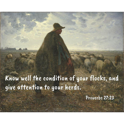 Bible Verse Quote Proverbs 27:23, Jean-Francois Millet - Shepherd Tending his Flock ll White Modern Wood Framed Art Print by ArtsyQuotes