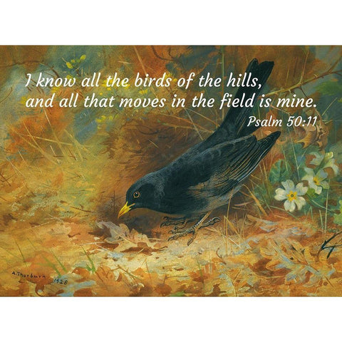 Bible Verse Quote Psalm 50:11, Archibald Thorburn - Blackbird White Modern Wood Framed Art Print by ArtsyQuotes