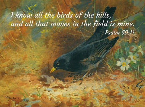 Bible Verse Quote Psalm 50:11, Archibald Thorburn - Blackbird Black Ornate Wood Framed Art Print with Double Matting by ArtsyQuotes