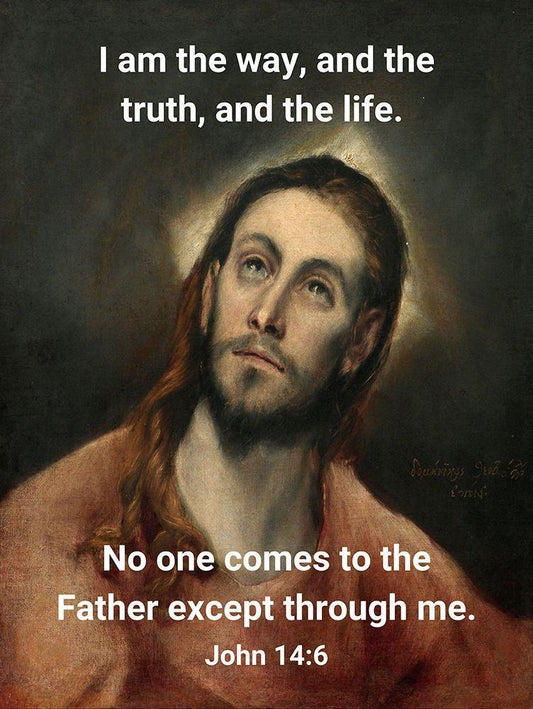 Image Only