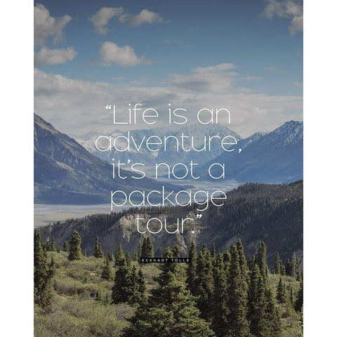 Eckhart Tolle Quote: Life is an Adventure White Modern Wood Framed Art Print by ArtsyQuotes
