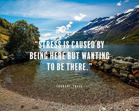 Eckhart Tolle Quote: Stress White Modern Wood Framed Art Print with Double Matting by ArtsyQuotes