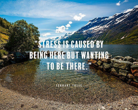 Eckhart Tolle Quote: Stress Black Ornate Wood Framed Art Print with Double Matting by ArtsyQuotes