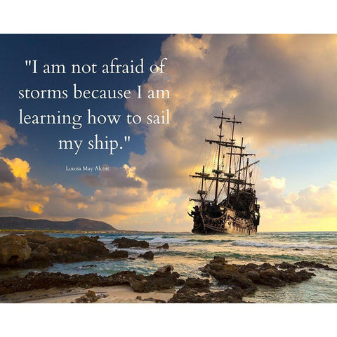 Louisa May Alcott Quote: Sail My Ship Gold Ornate Wood Framed Art Print with Double Matting by ArtsyQuotes