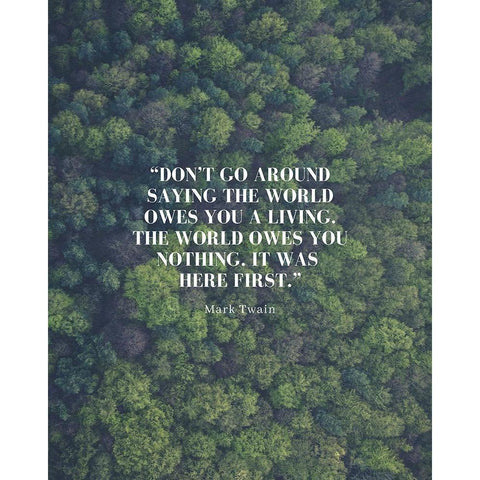 Mark Twain Quote: The World Owes You Nothing White Modern Wood Framed Art Print by ArtsyQuotes