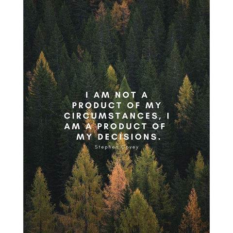 Stephen Covey Quote: My Decisions Black Modern Wood Framed Art Print with Double Matting by ArtsyQuotes
