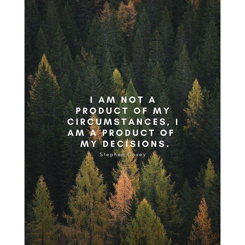 Stephen Covey Quote: My Decisions White Modern Wood Framed Art Print by ArtsyQuotes