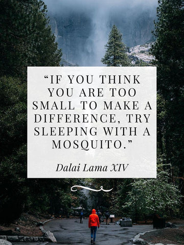 Dalai Lama Quote: Make a Difference White Modern Wood Framed Art Print with Double Matting by ArtsyQuotes