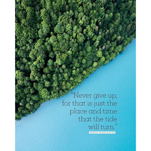 Harriet Beecher Stow Quote: Never Give Up White Modern Wood Framed Art Print by ArtsyQuotes