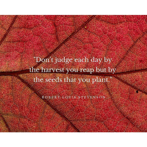 Robert Louis Stevenson Quote: Dont Judge Each Day Black Modern Wood Framed Art Print with Double Matting by ArtsyQuotes