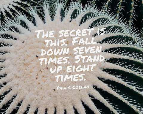 Paulo Coelho Quote: The Secret Black Ornate Wood Framed Art Print with Double Matting by ArtsyQuotes