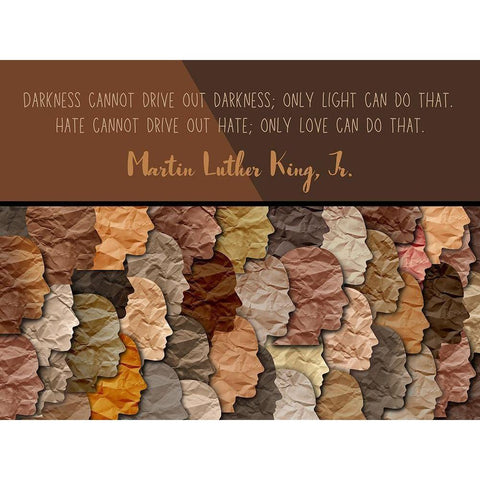 Martin Luther King, Jr. Quote: Hate Cannot Drive Out Hate White Modern Wood Framed Art Print by ArtsyQuotes