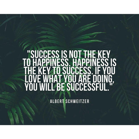 Albert Schweitzer Quote: Happiness is the Key to Success Black Modern Wood Framed Art Print with Double Matting by ArtsyQuotes