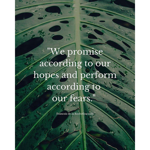 Francois de la Rochefoucauld Quote: We Promise White Modern Wood Framed Art Print by ArtsyQuotes