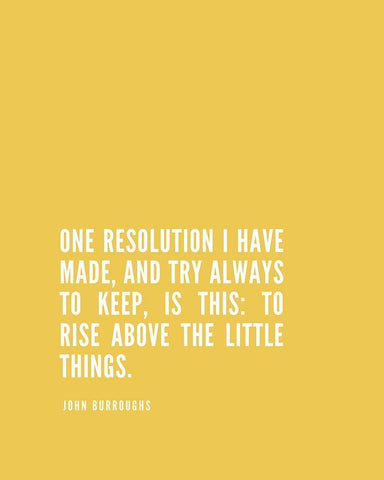 John Burroughs Quote: One Resolution White Modern Wood Framed Art Print with Double Matting by ArtsyQuotes