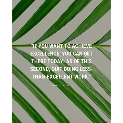 Thomas J. Watson Quote: Achieve Excellence Gold Ornate Wood Framed Art Print with Double Matting by ArtsyQuotes