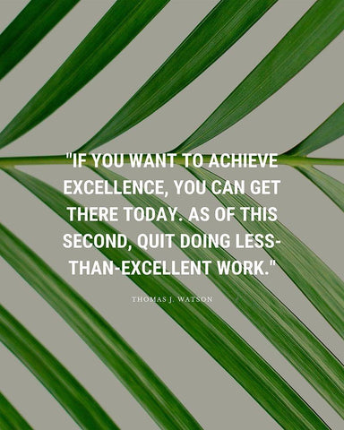 Thomas J. Watson Quote: Achieve Excellence White Modern Wood Framed Art Print with Double Matting by ArtsyQuotes