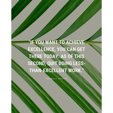 Thomas J. Watson Quote: Achieve Excellence Black Modern Wood Framed Art Print with Double Matting by ArtsyQuotes