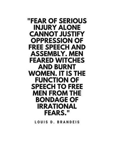 Louis D. Brandeis Quote: Fear of Serious Injury White Modern Wood Framed Art Print with Double Matting by ArtsyQuotes