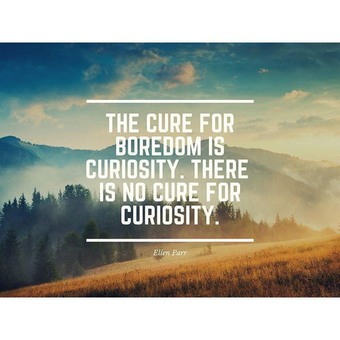 Ellen Parr Quote: Boredom is Curiosity White Modern Wood Framed Art Print by ArtsyQuotes