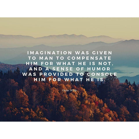 Oscar Wilde Quote: Imagination White Modern Wood Framed Art Print by ArtsyQuotes