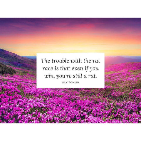 Lily Tomlin Quote: The Rat Race Black Modern Wood Framed Art Print with Double Matting by ArtsyQuotes