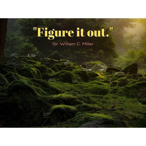 Sir William C. Miller Quote: Figure it Out Black Modern Wood Framed Art Print with Double Matting by ArtsyQuotes