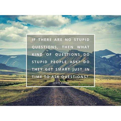 Scott Adams Quote: No Stupid Questions Black Modern Wood Framed Art Print by ArtsyQuotes