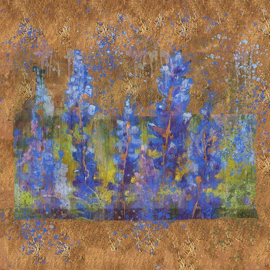 Image Only