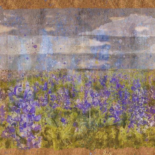 Image Only