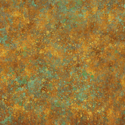 Image Only