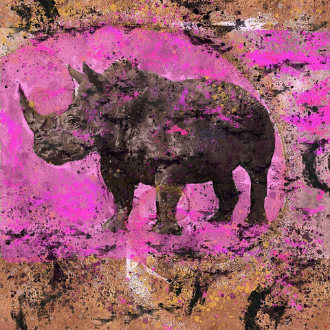 Fibonacci Pink Rhino  Black Modern Wood Framed Art Print with Double Matting by Wiley, Marta