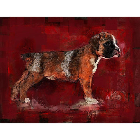 Boxer Pup White Modern Wood Framed Art Print by Wiley, Marta