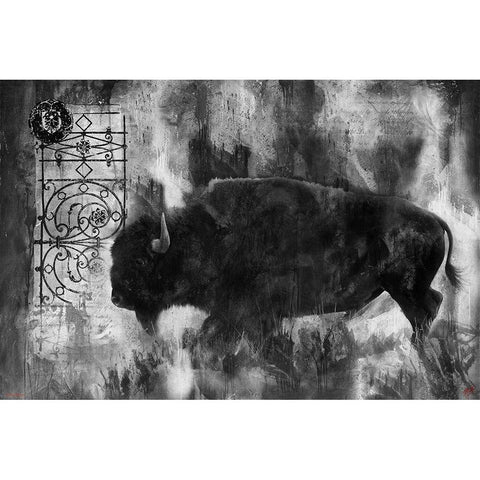 Buffalo BandW Black Modern Wood Framed Art Print with Double Matting by Wiley, Marta