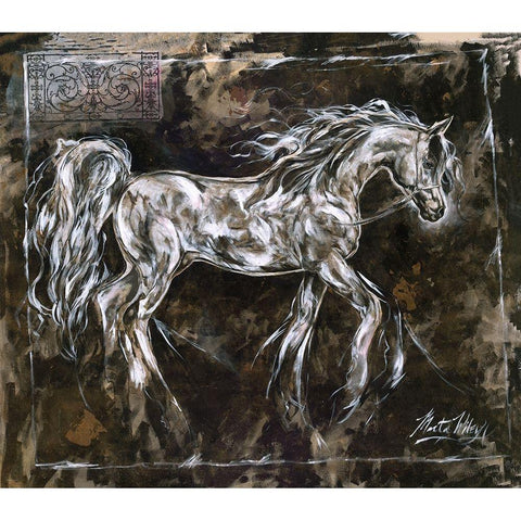 White Horse Different Border Black Modern Wood Framed Art Print with Double Matting by Wiley, Marta