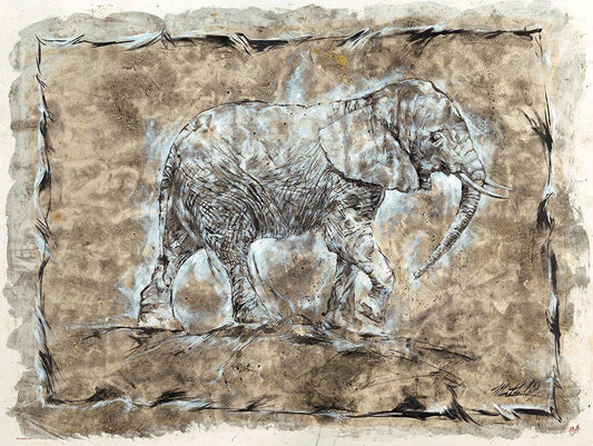 Image Only