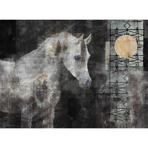 Horse in the sun White Modern Wood Framed Art Print by Wiley, Marta