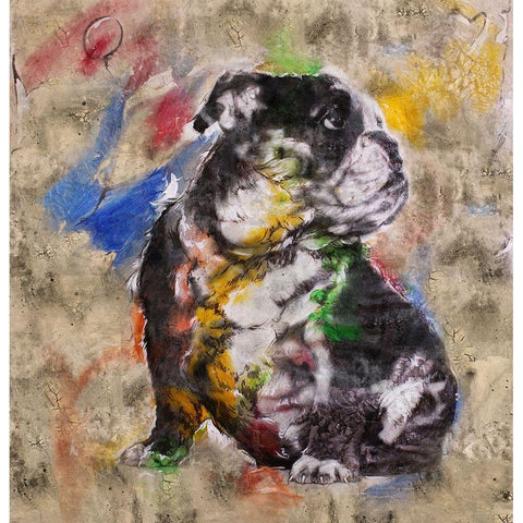 Colorful Dog I White Modern Wood Framed Art Print by Wiley, Marta