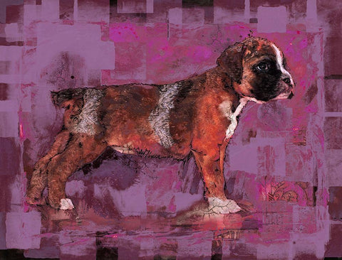 Pink Pup White Modern Wood Framed Art Print with Double Matting by Wiley, Marta