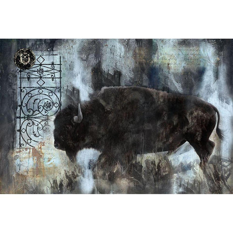 Buffalo Blue Black Modern Wood Framed Art Print with Double Matting by Wiley, Marta