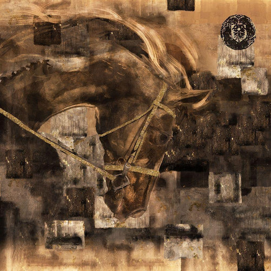 Image Only