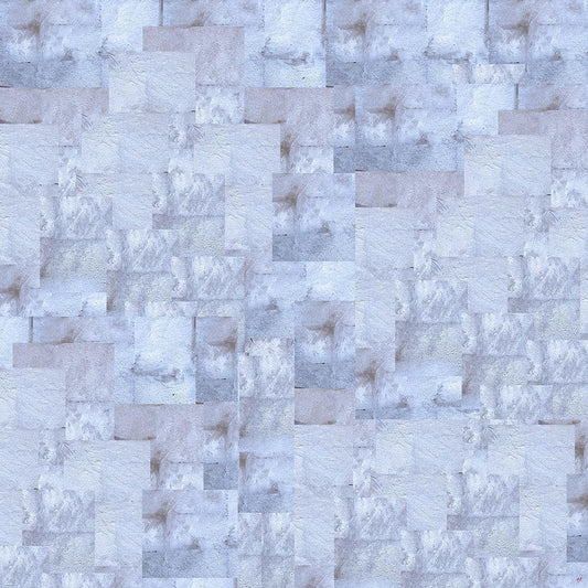 Image Only